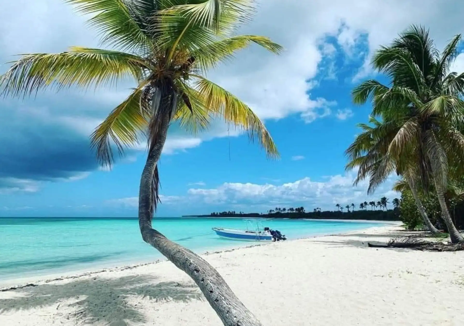 Saona Island Premium